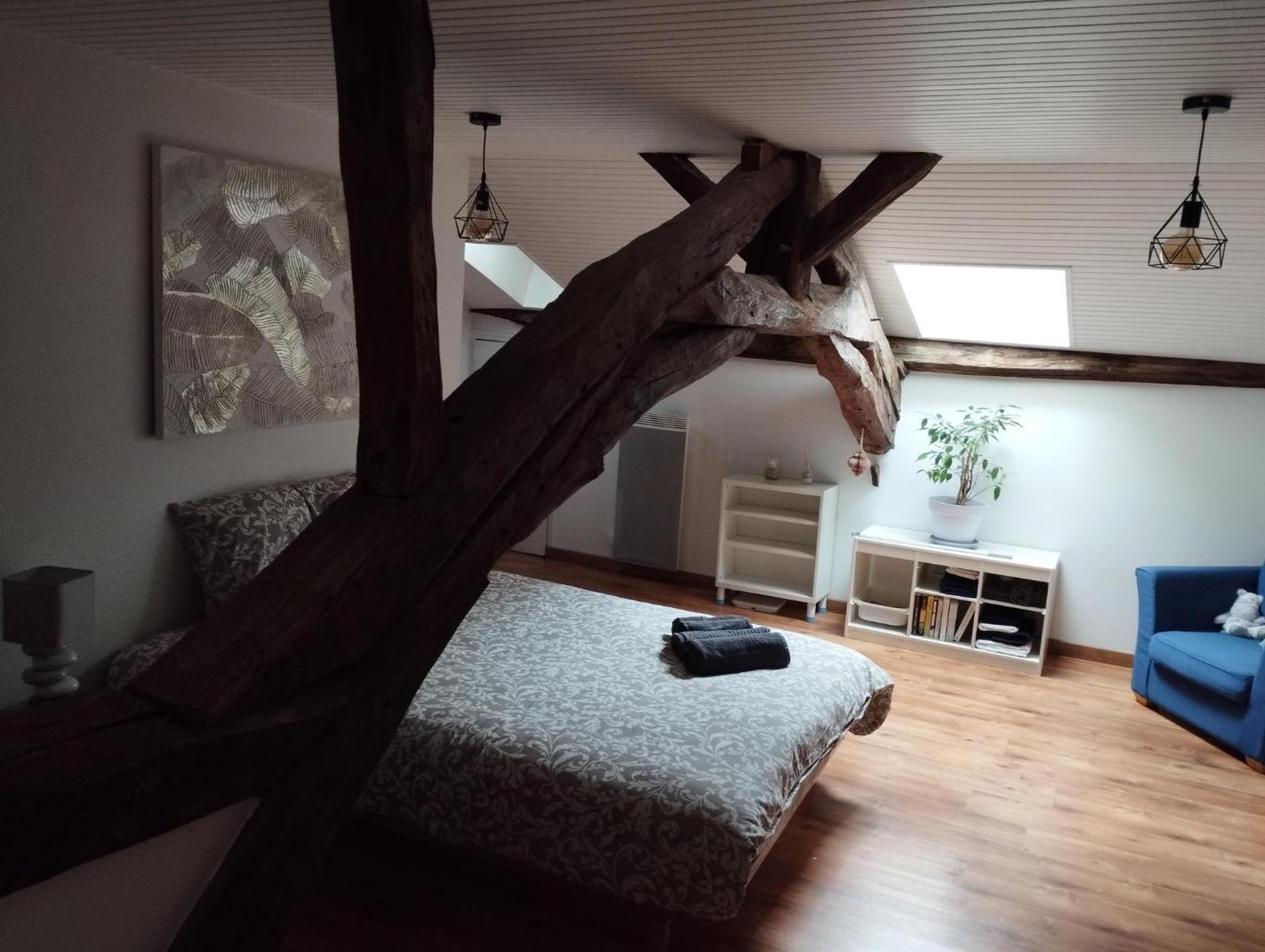 La Maison De Marie, Cosy Et Spacieuse - 3 Chambres Dont Une Climatisee Шатийон-сюр-Шаларон Экстерьер фото